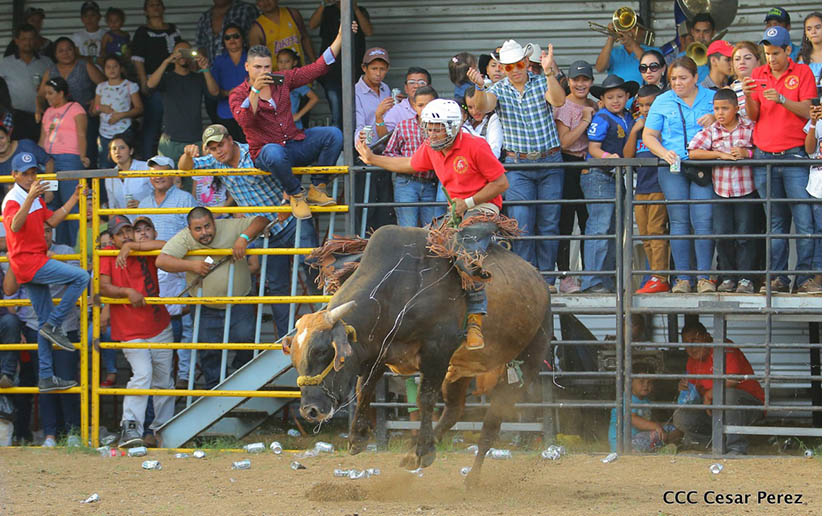 finde